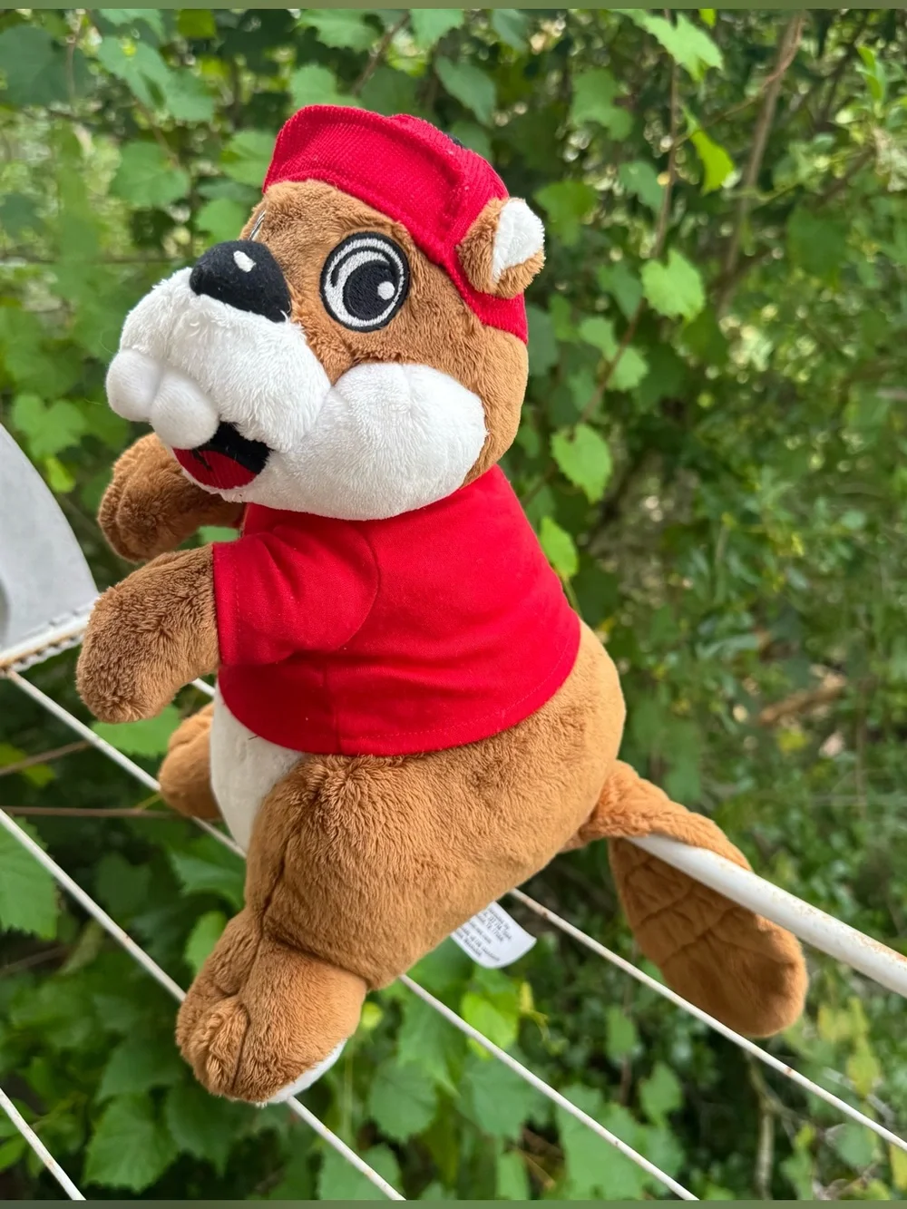 Buc-ees buc ee